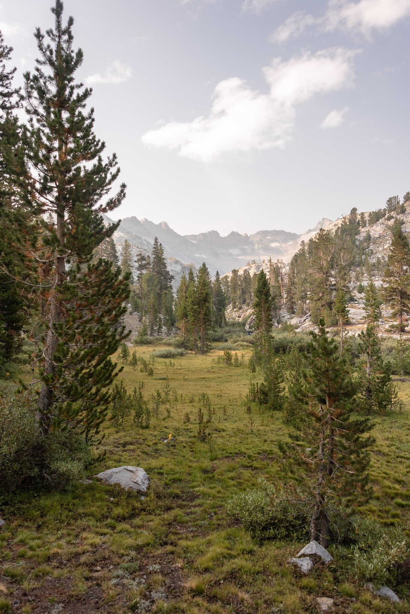 Upper Lyell Canyon in western Yosemite