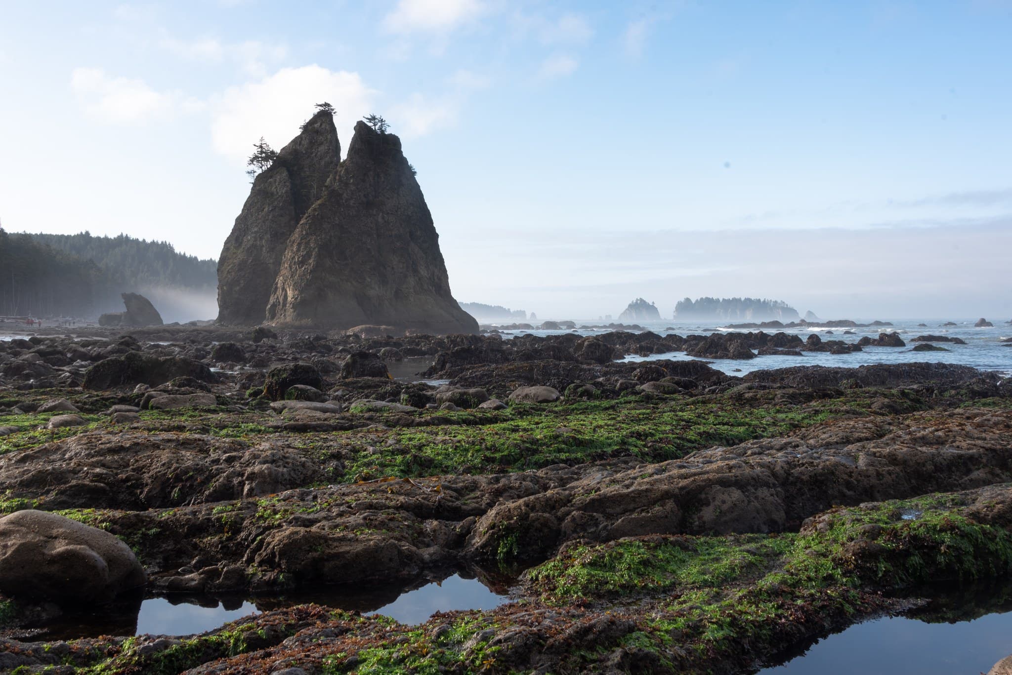 Tide pools north of Rialto Beach