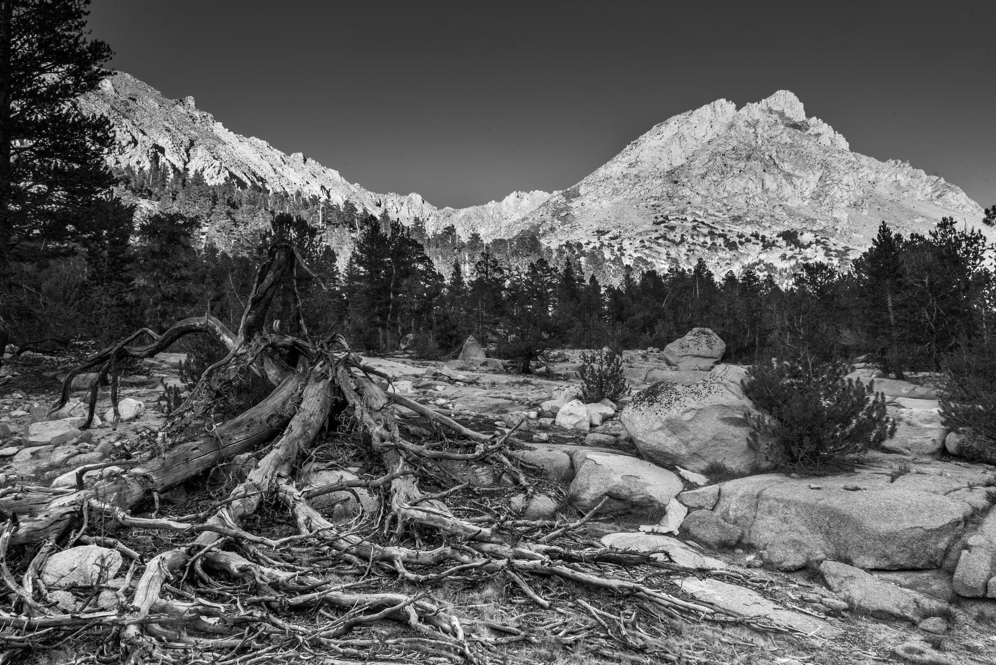 https://photos.smugmug.com/photos/i-sT9Dzsf/0/X5/i-sT9Dzsf-X5.jpg