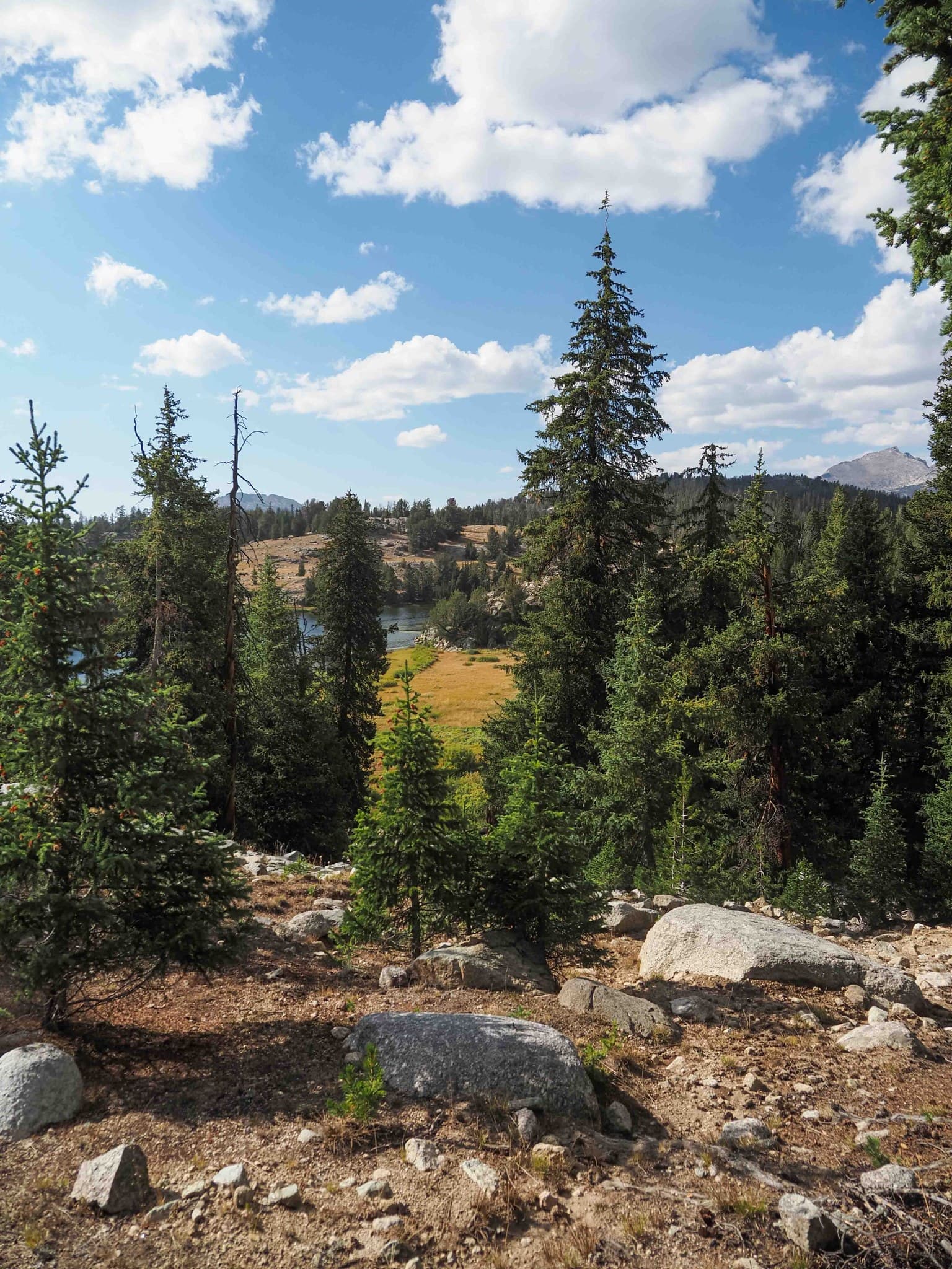 Off the trail at Dad Lake