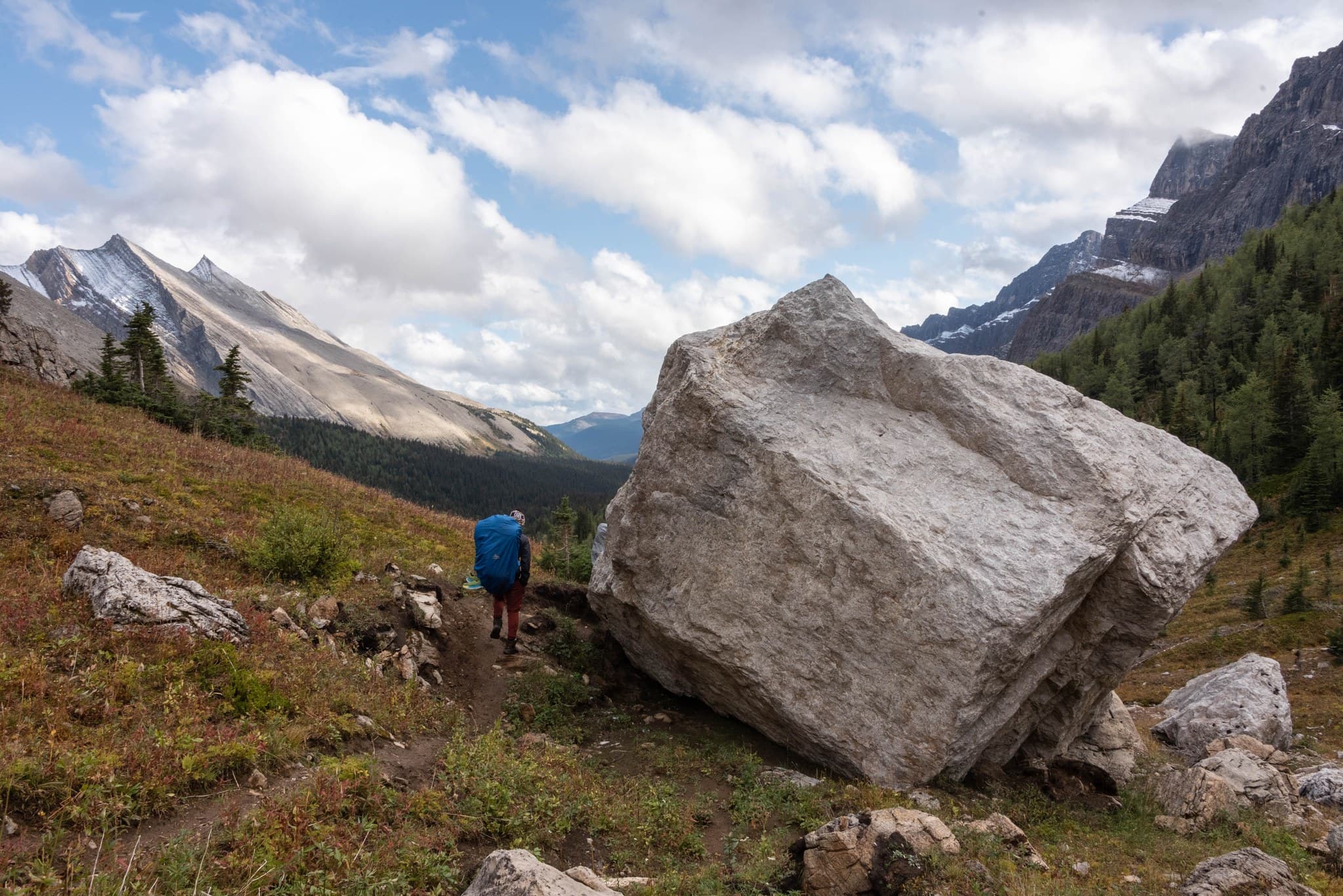 Limestone boulder on the south face of Pulsatilla Pass
