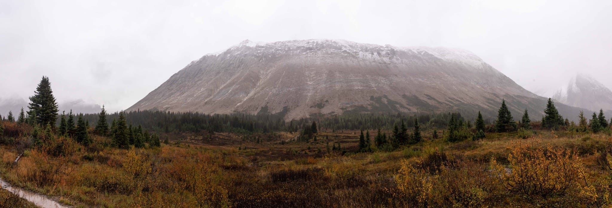 Base of Cyclone Mountain and Pipestone Mountain disappear into fog