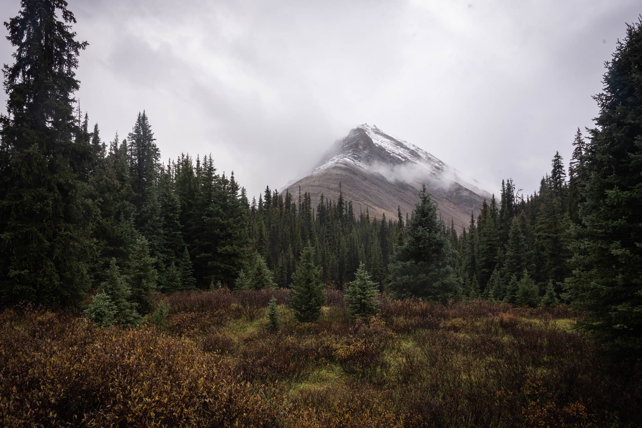 Skoki Mountain along the Skoki Valley Trail