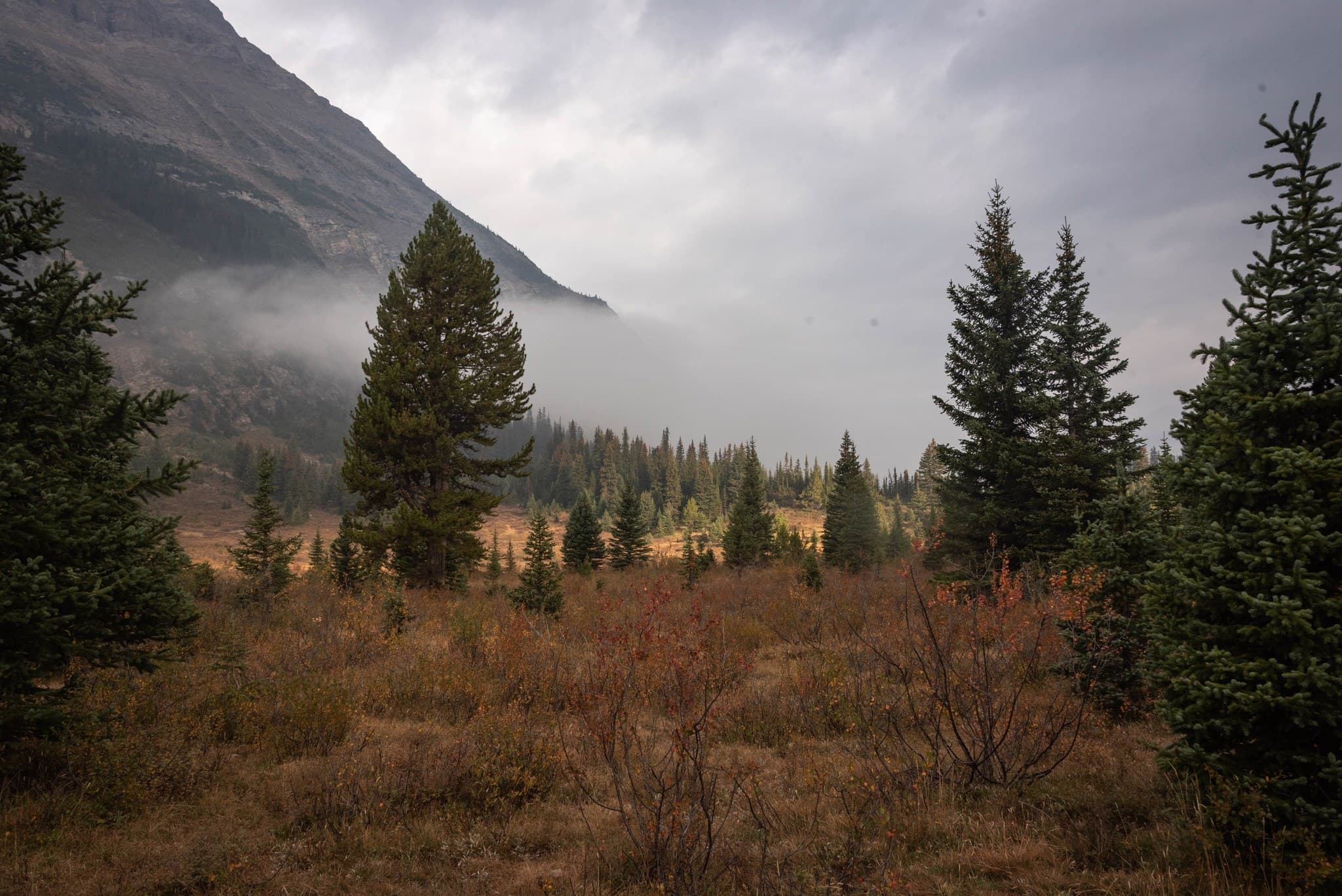 Morning fog rolling into Merlin Valley