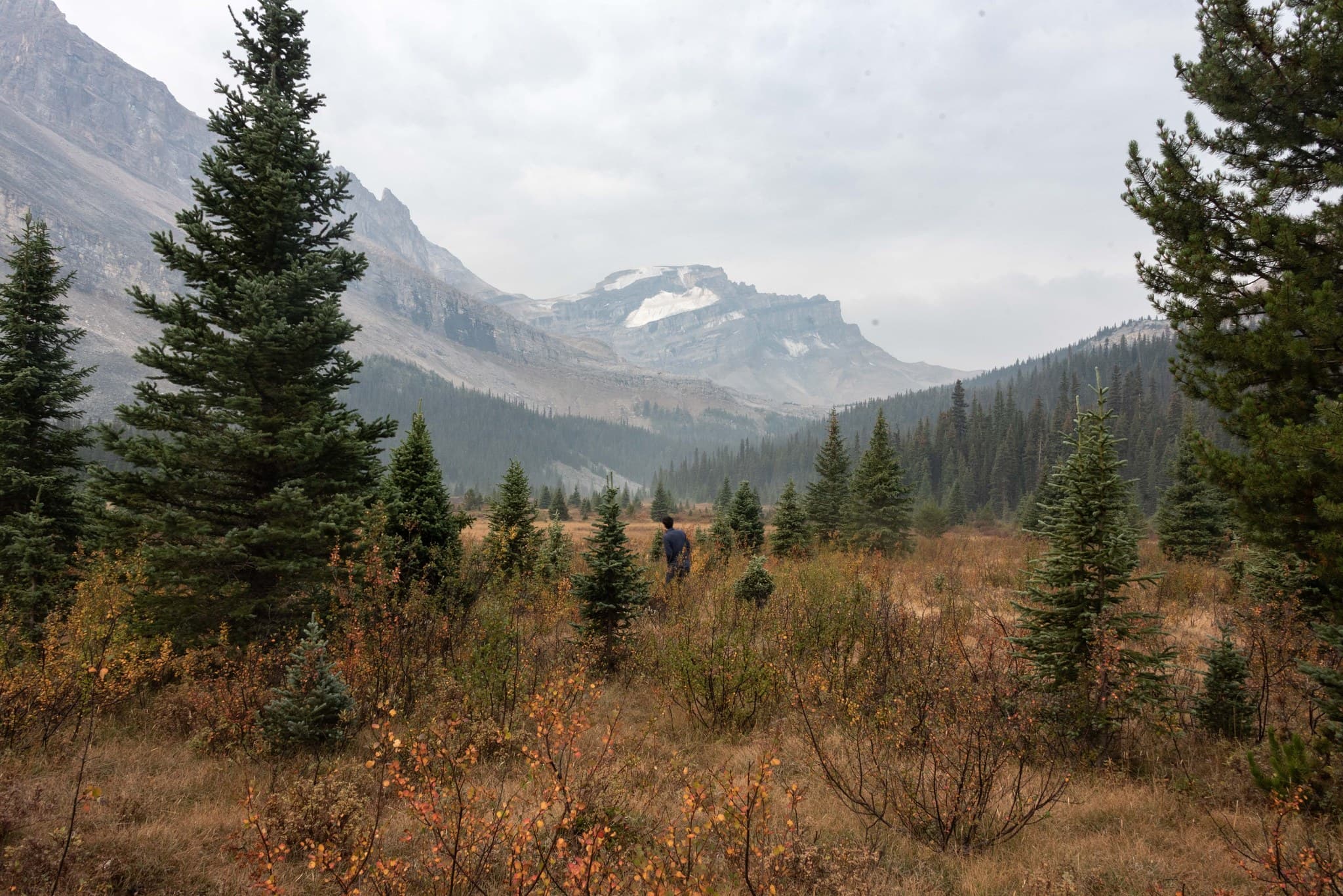 Mount Richardson from Merlin Valley