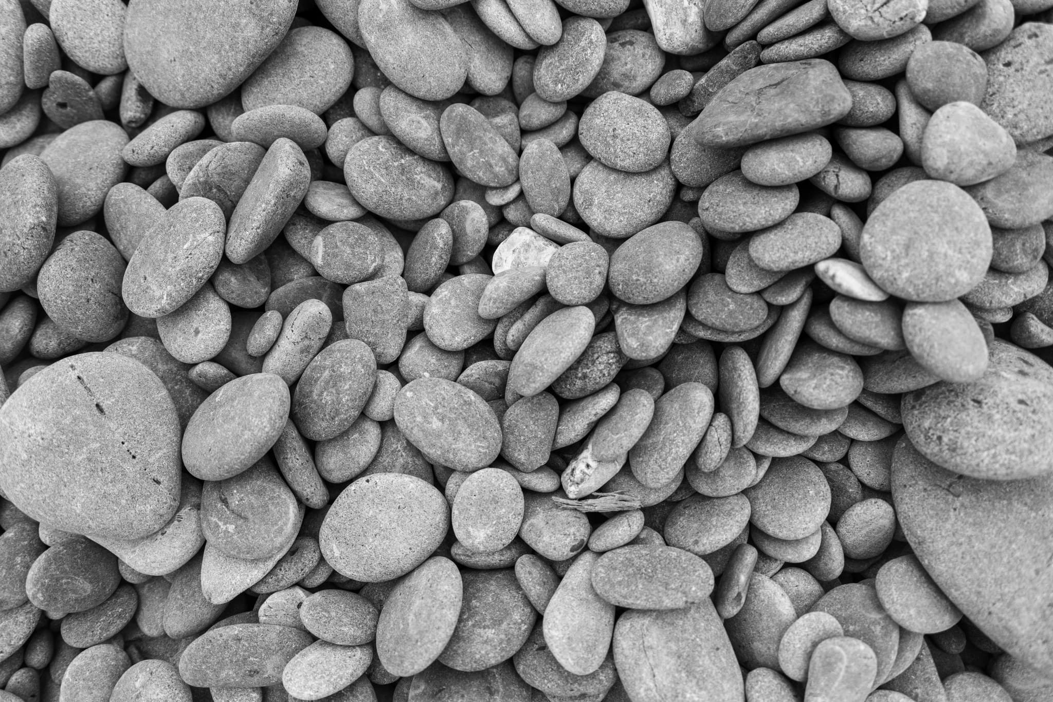 Rocks on the southern Olympic Coast