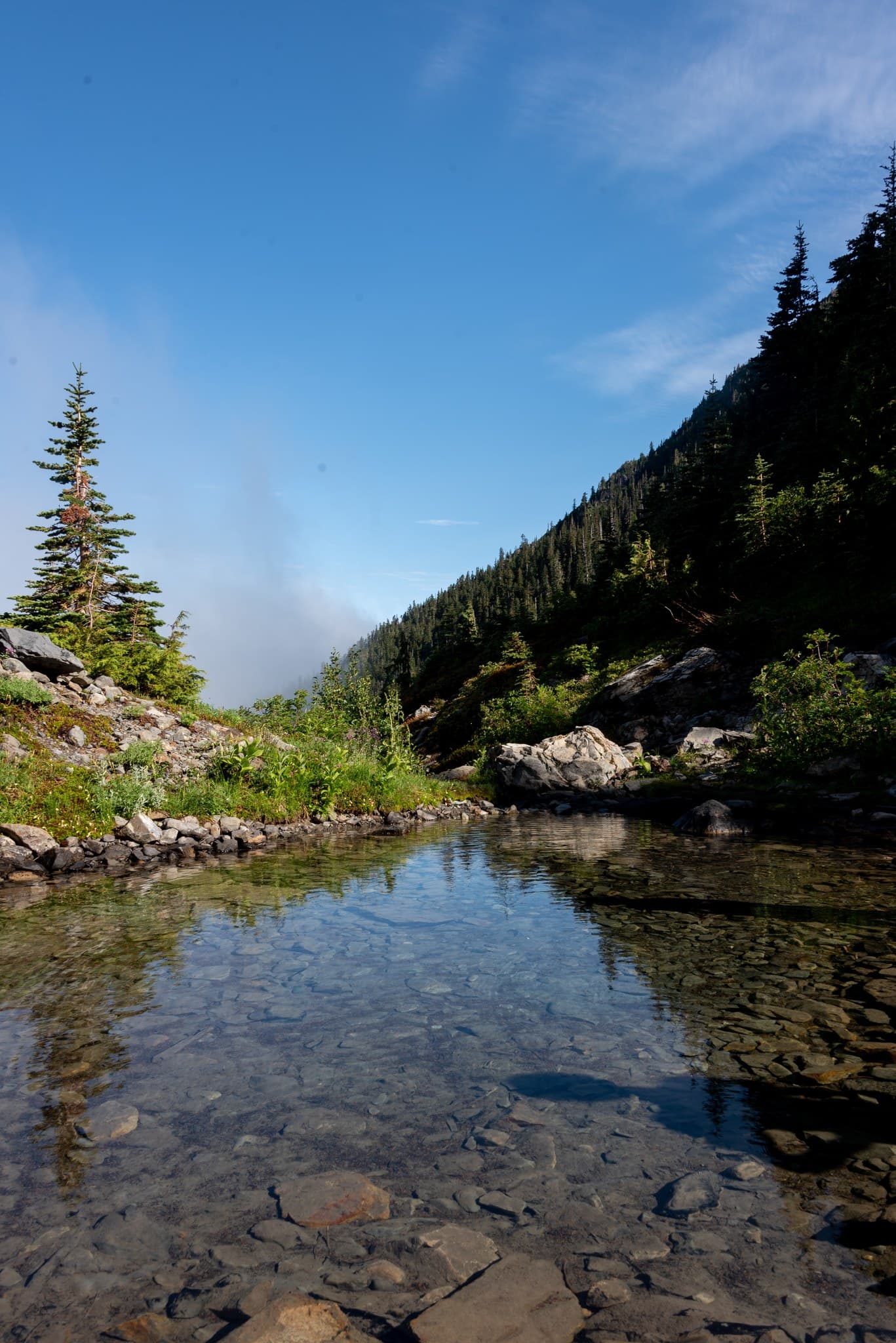 Glacial pond below Blue Glacier