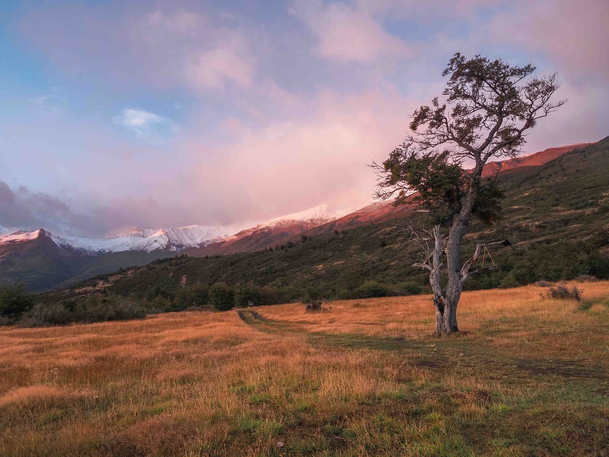 Patagonia
