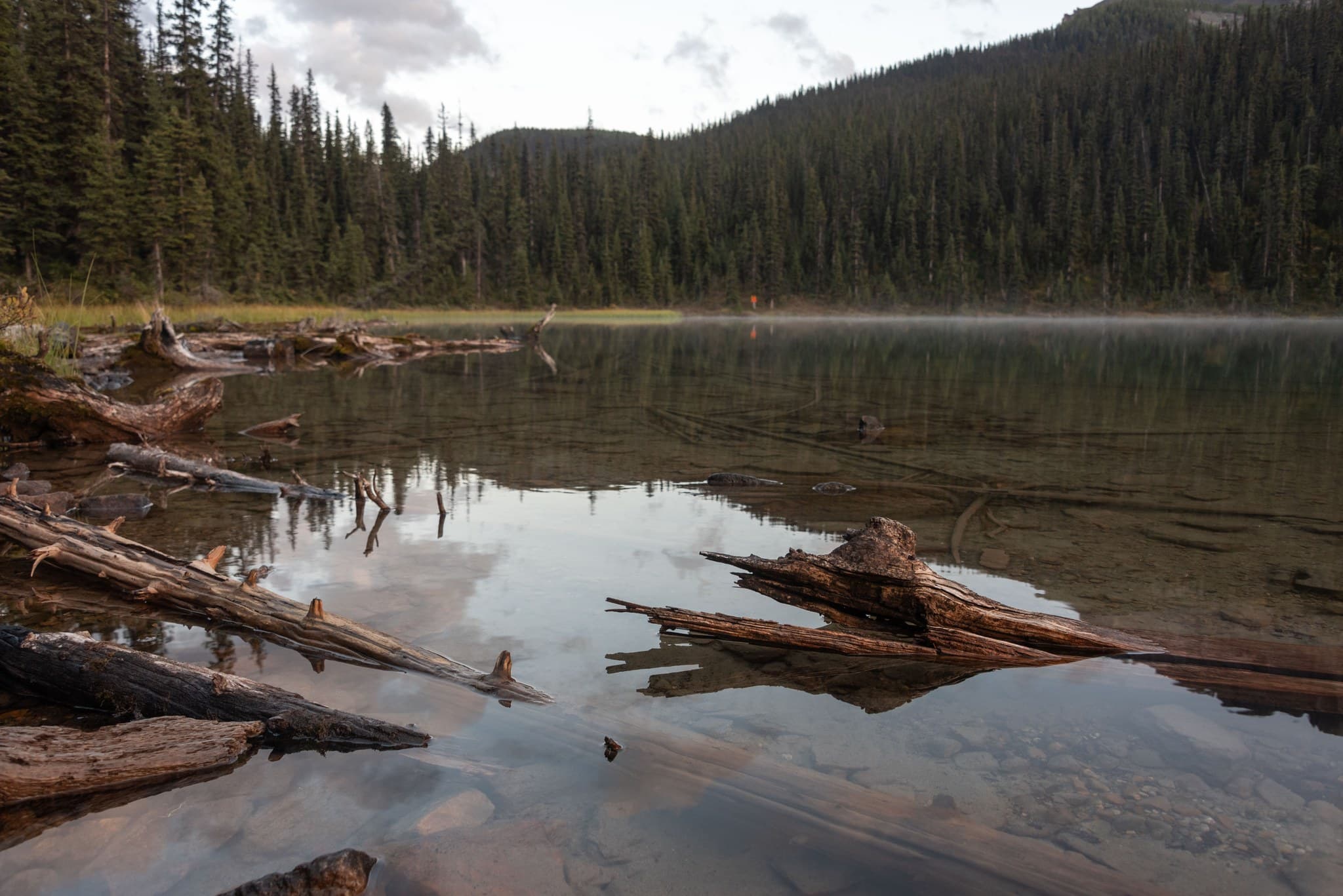 Evening on Luellen Lake