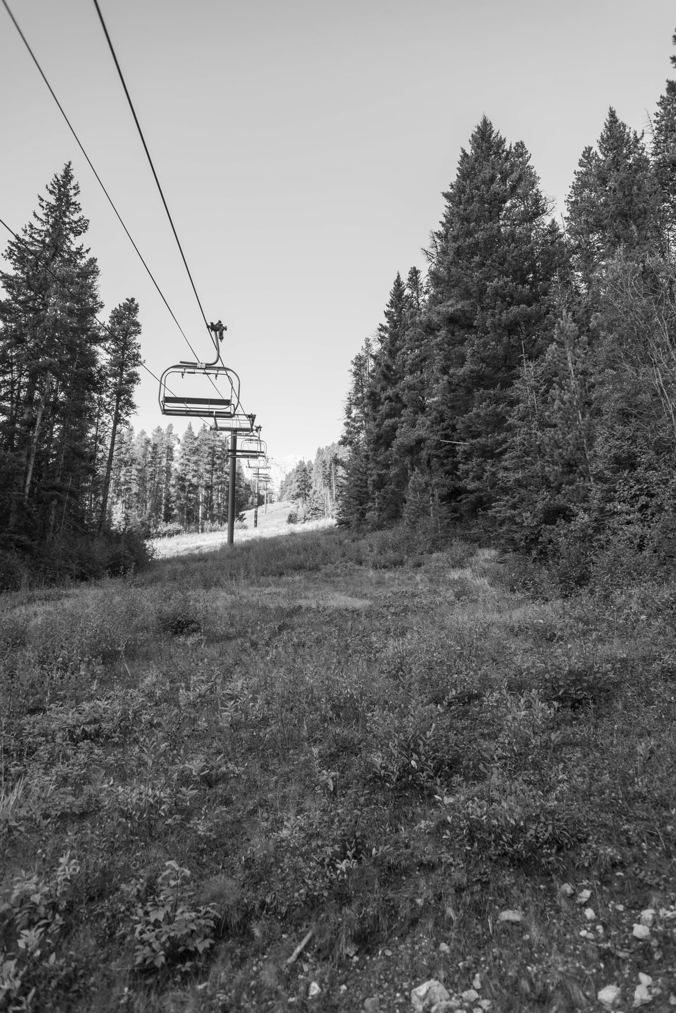 Norquay Ski lifts, waiting for winter