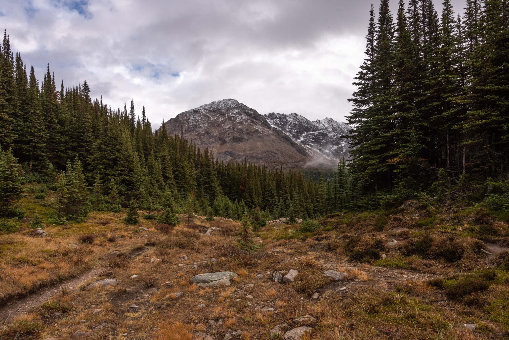 What I think is Oyster Peak, post rain