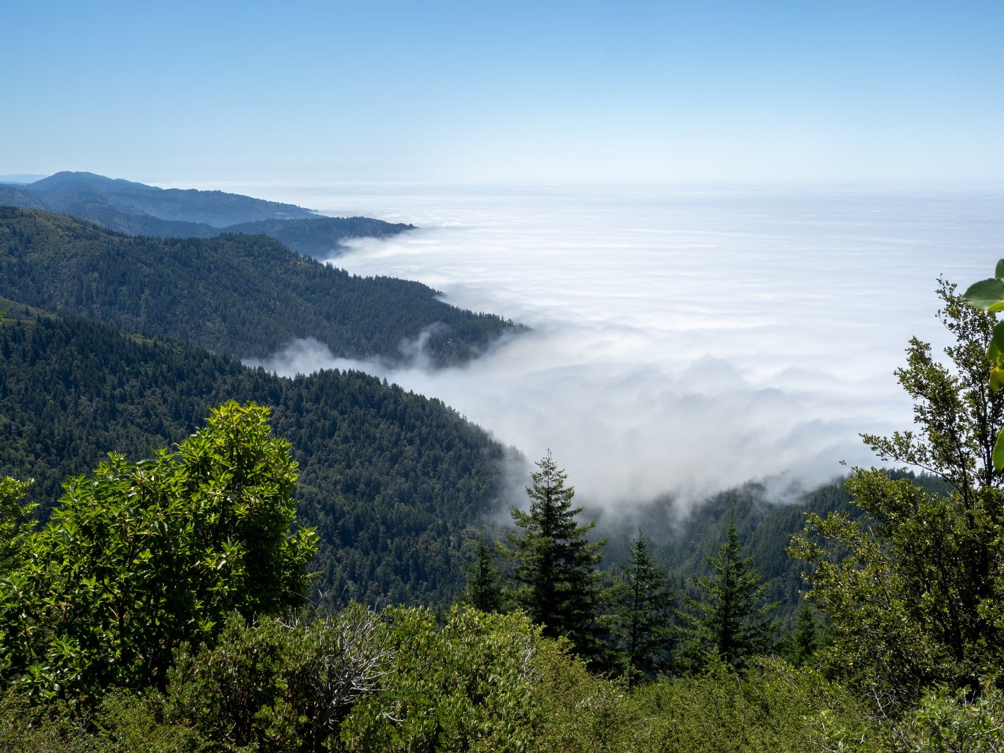 Marine Layer from Kings Crest Trail