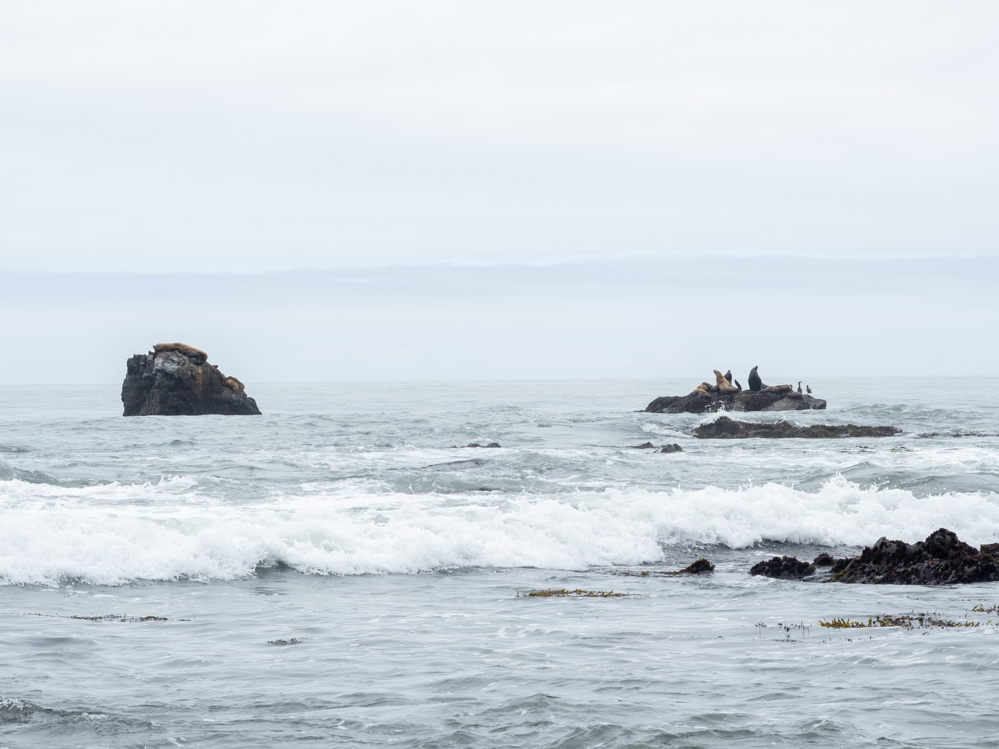 Seals