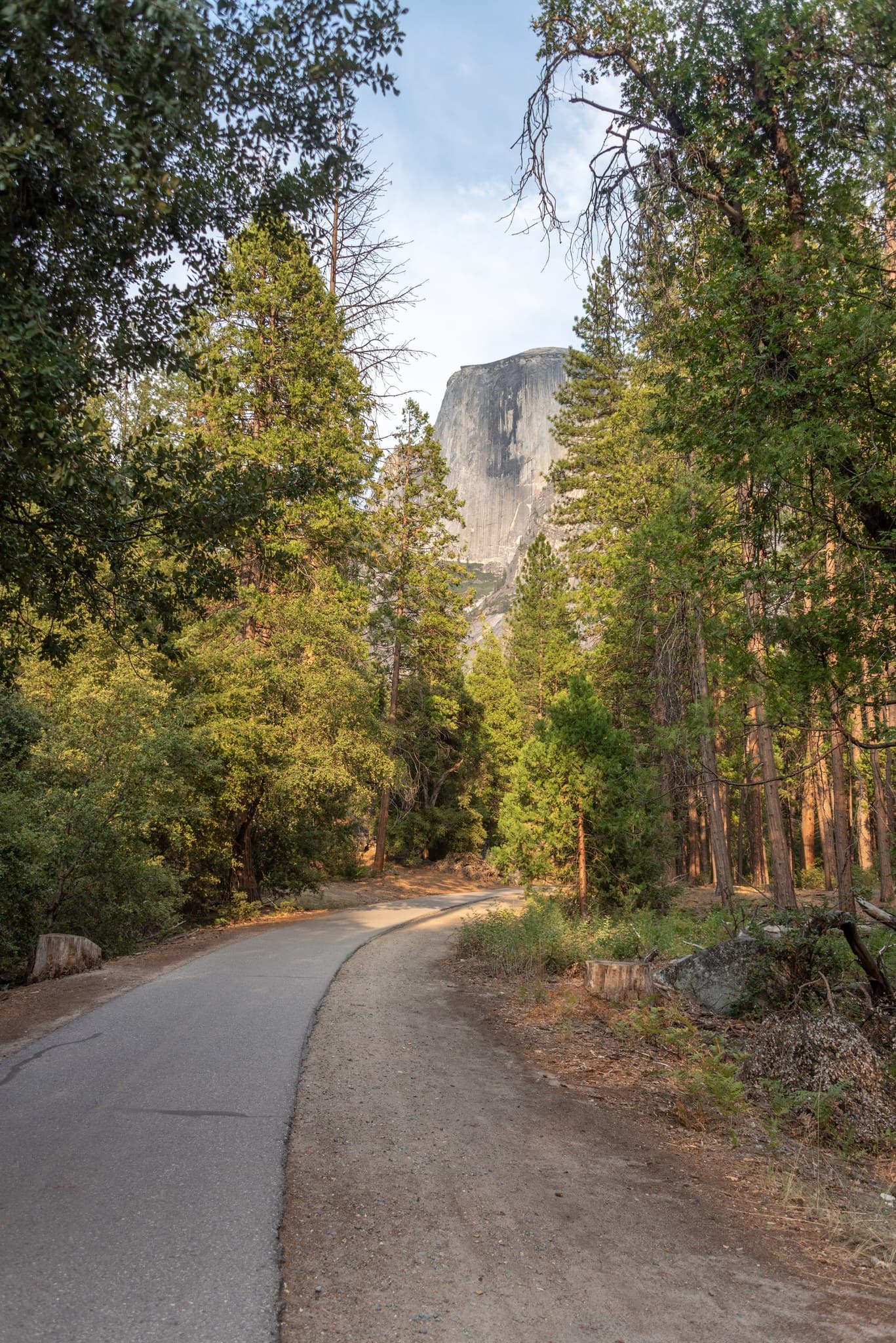 Half Dome from the Yosemite Backpacker's campground