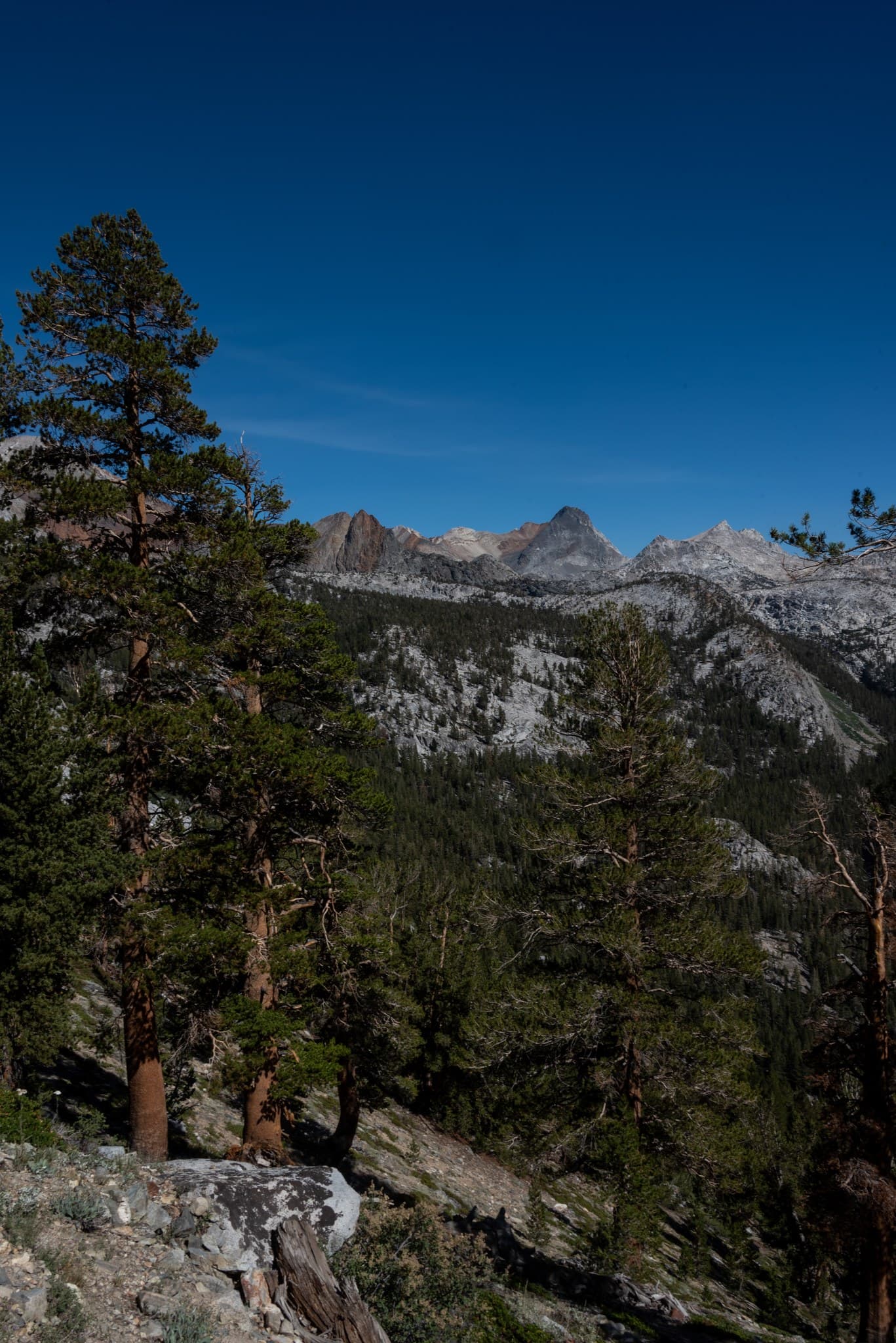 The High Sierra above Tully Hole, John Muir Wilderness