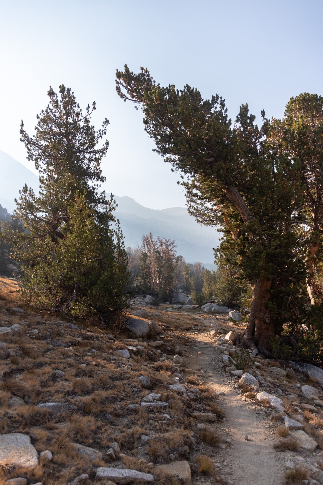 Ascent to Mather Pass