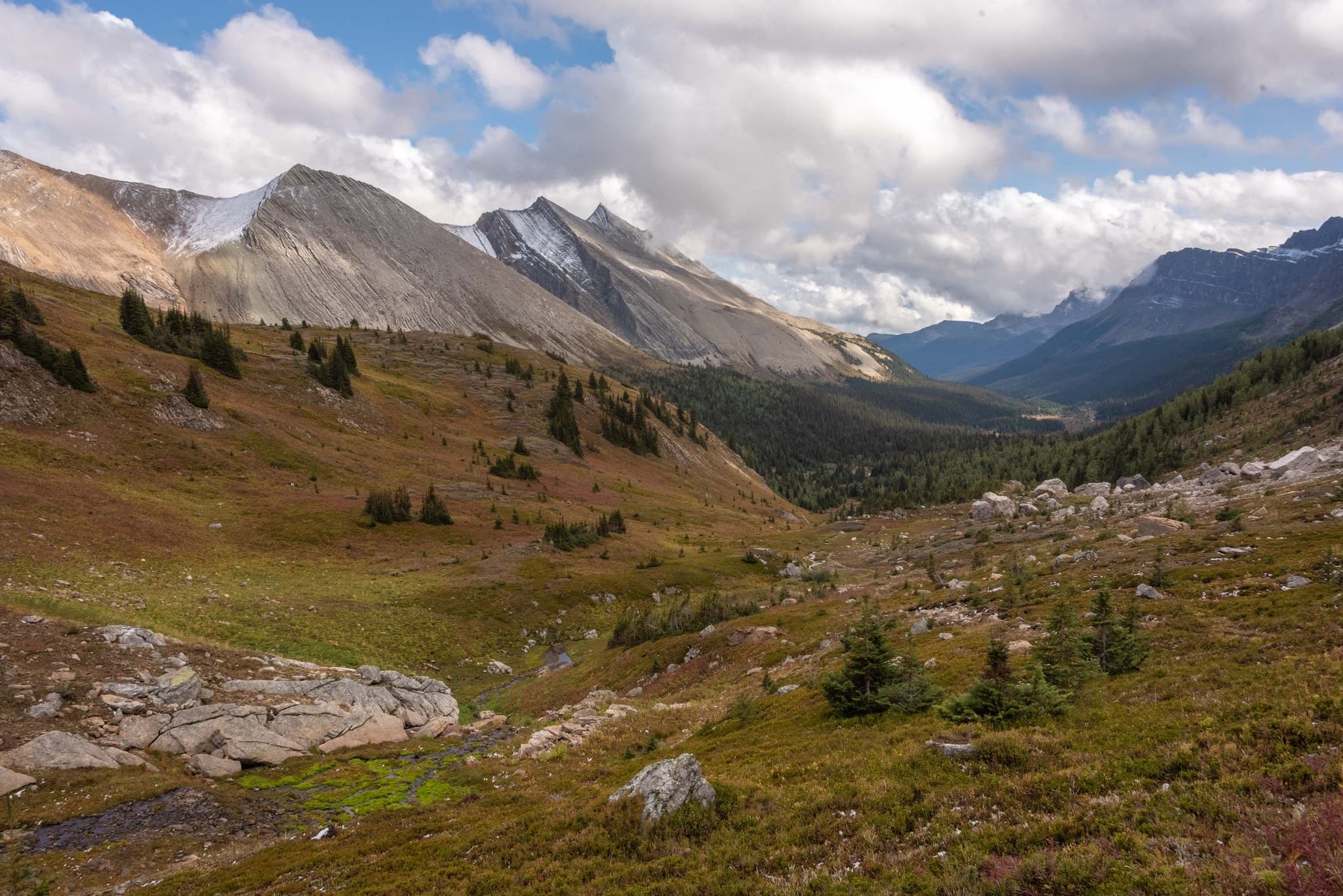 Johnston Creek valley