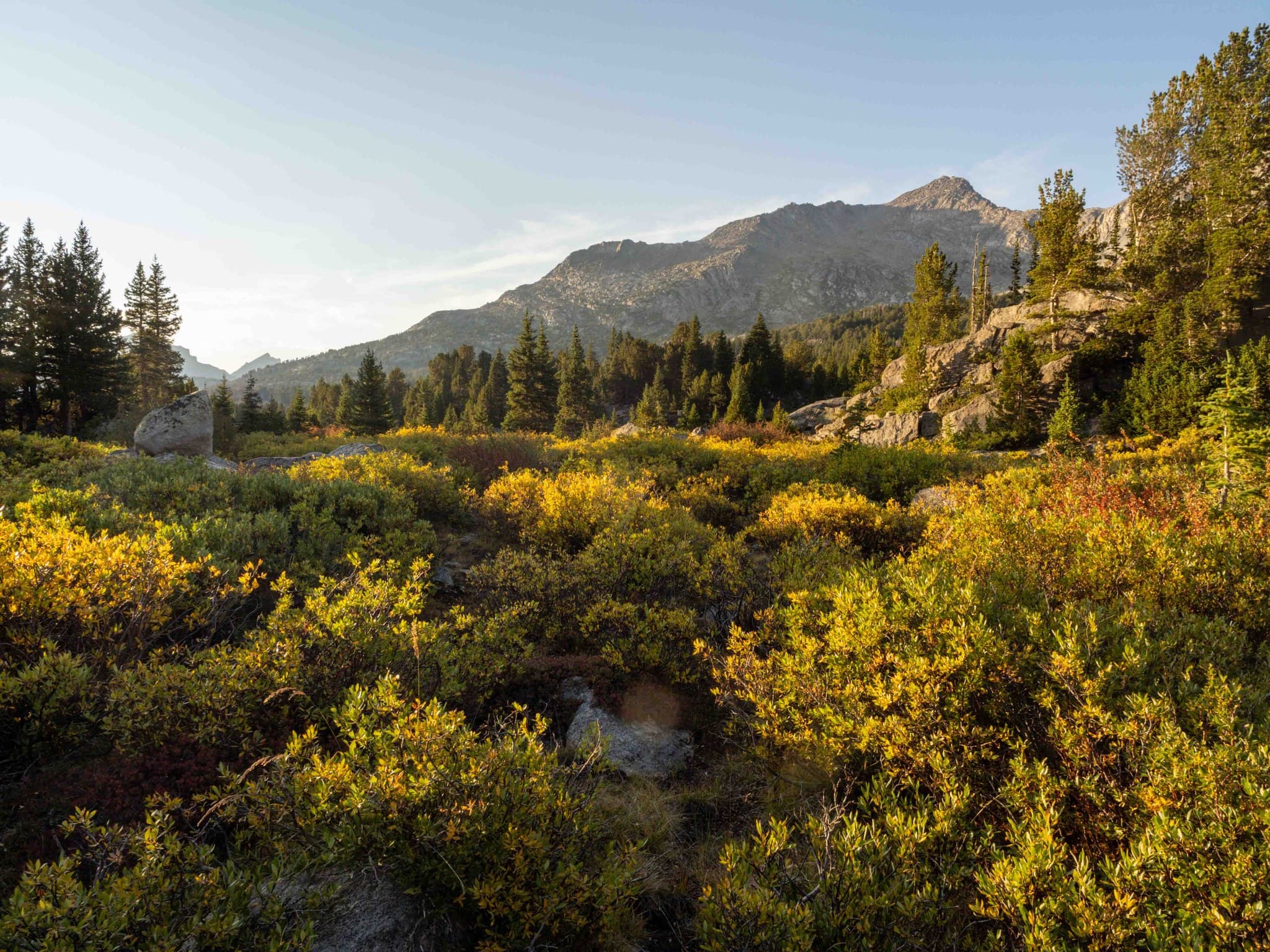 Golden hour from Shadow Lake