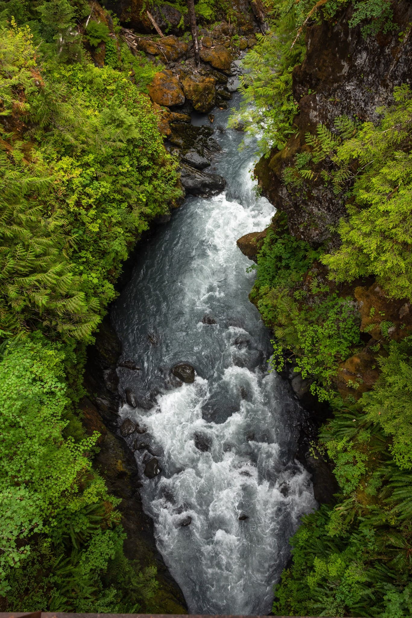 Olympic National Park