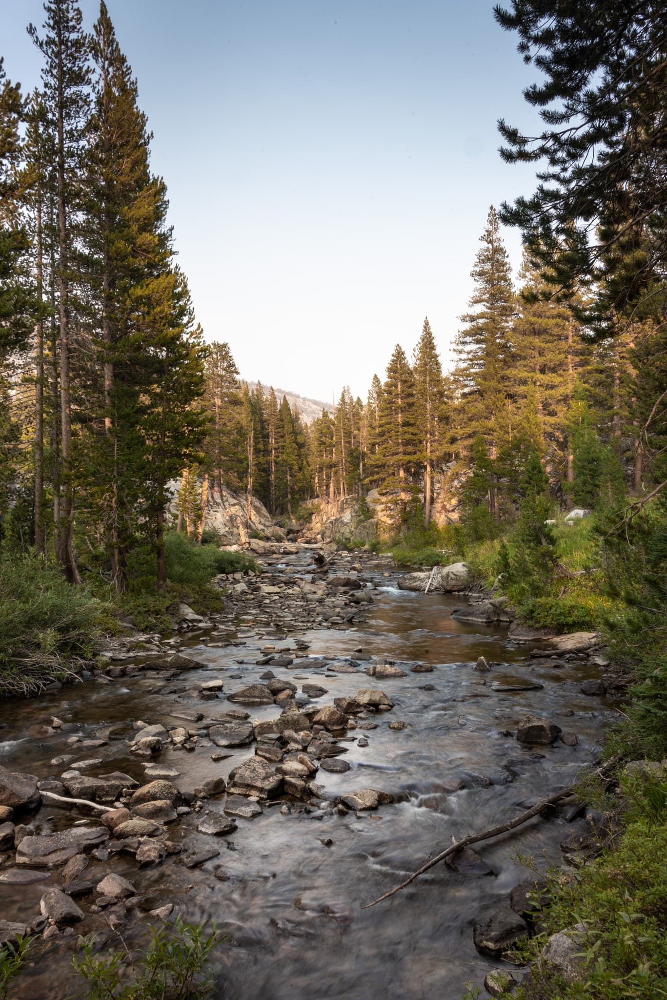 Evolution Creek west of McClure Meadow, Sequoia-Kings Canyon Wilderness