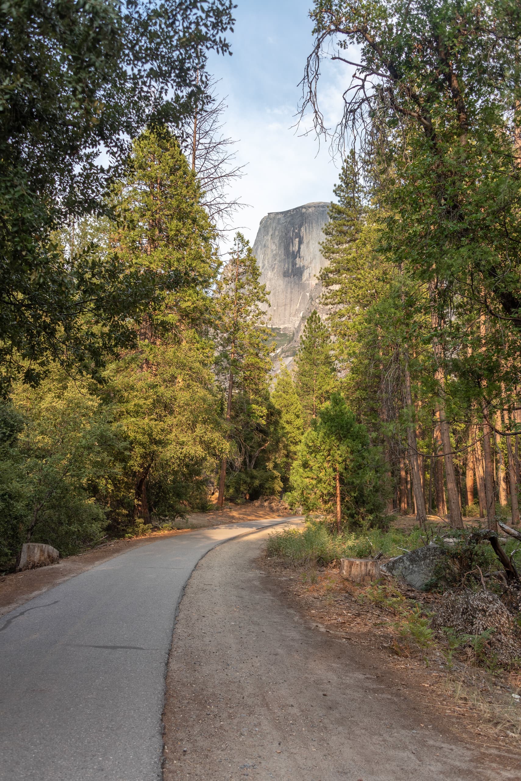 Half Dome from the Yosemite Backpacker's campground