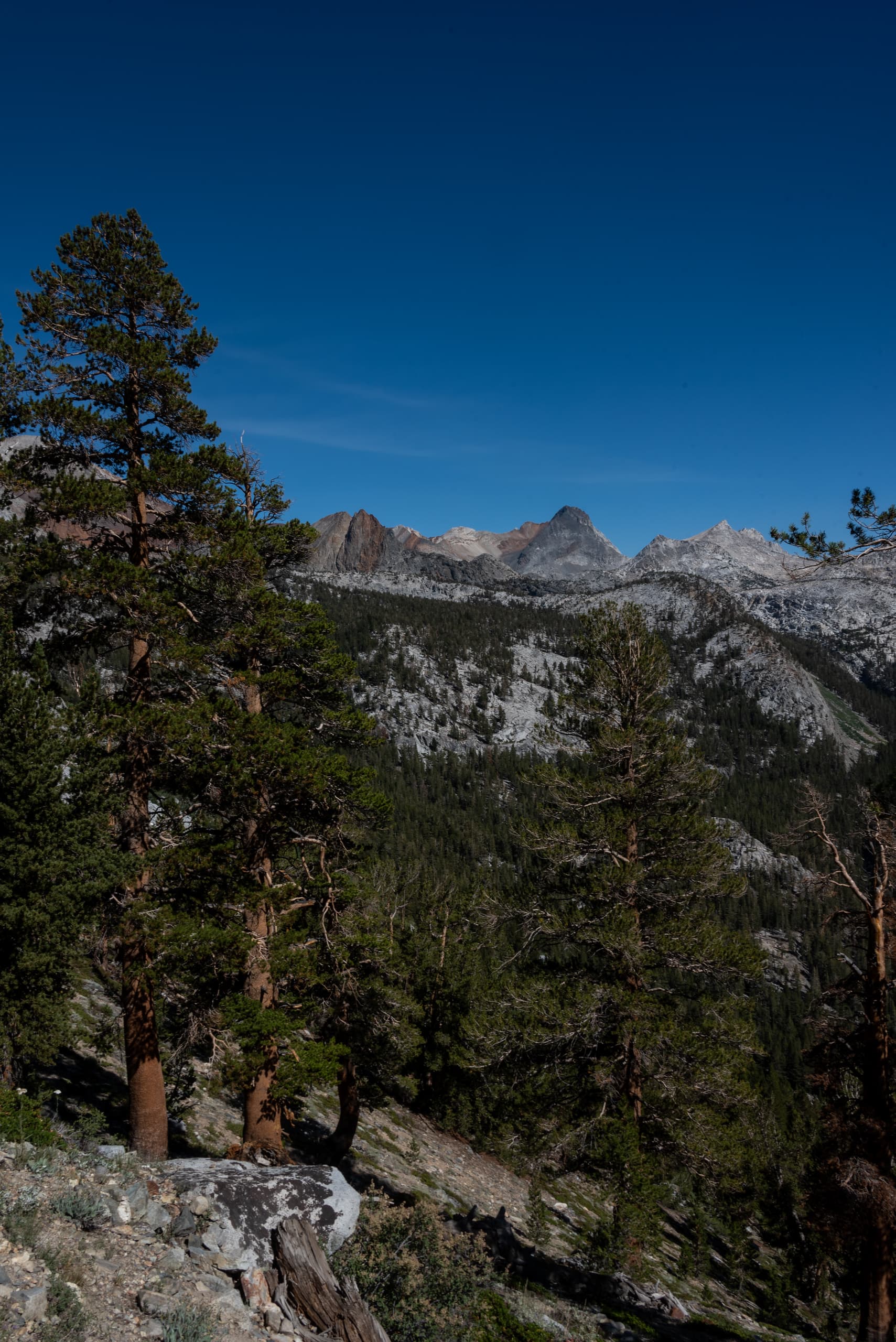 The High Sierra above Tully Hole, John Muir Wilderness