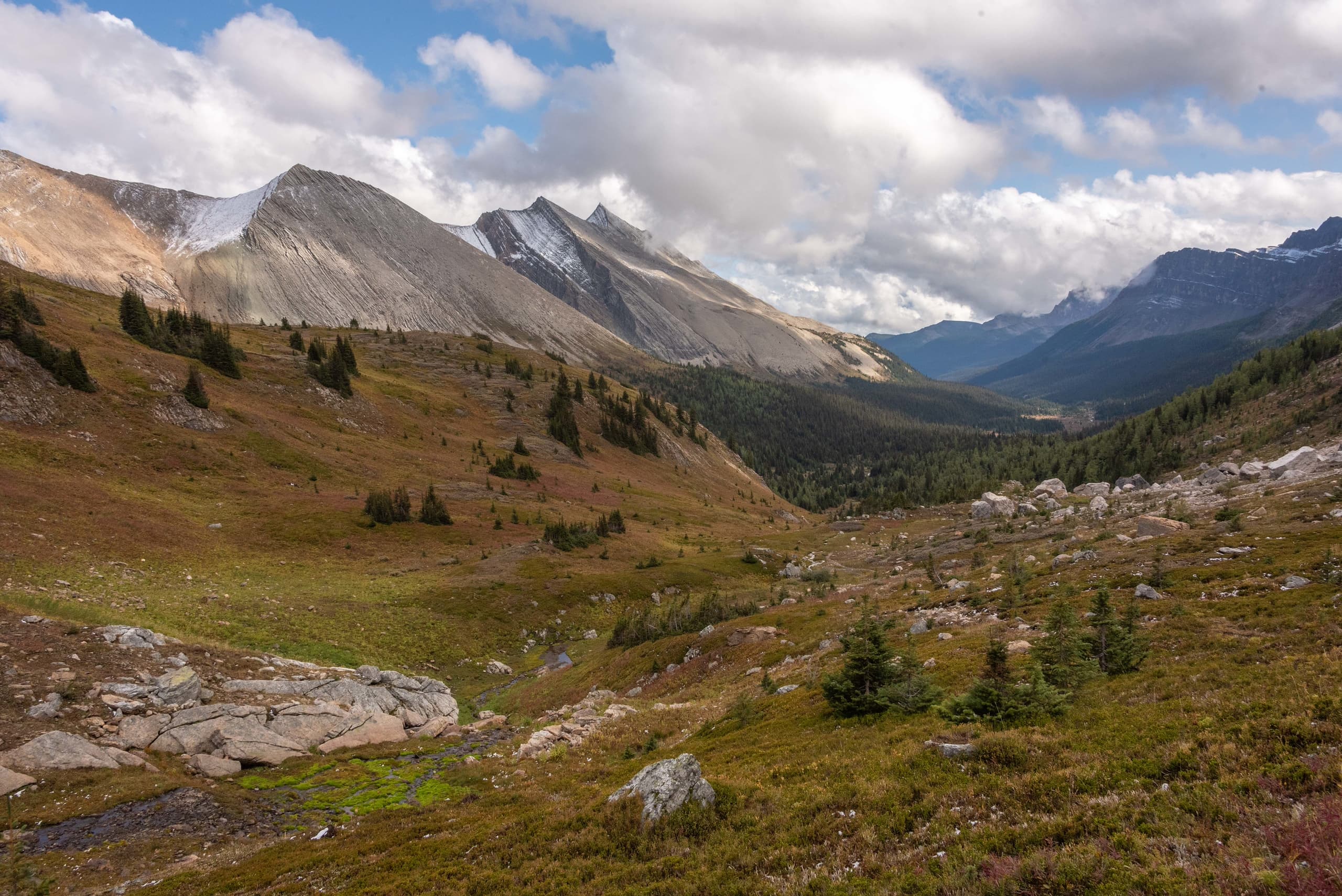 Johnston Creek valley