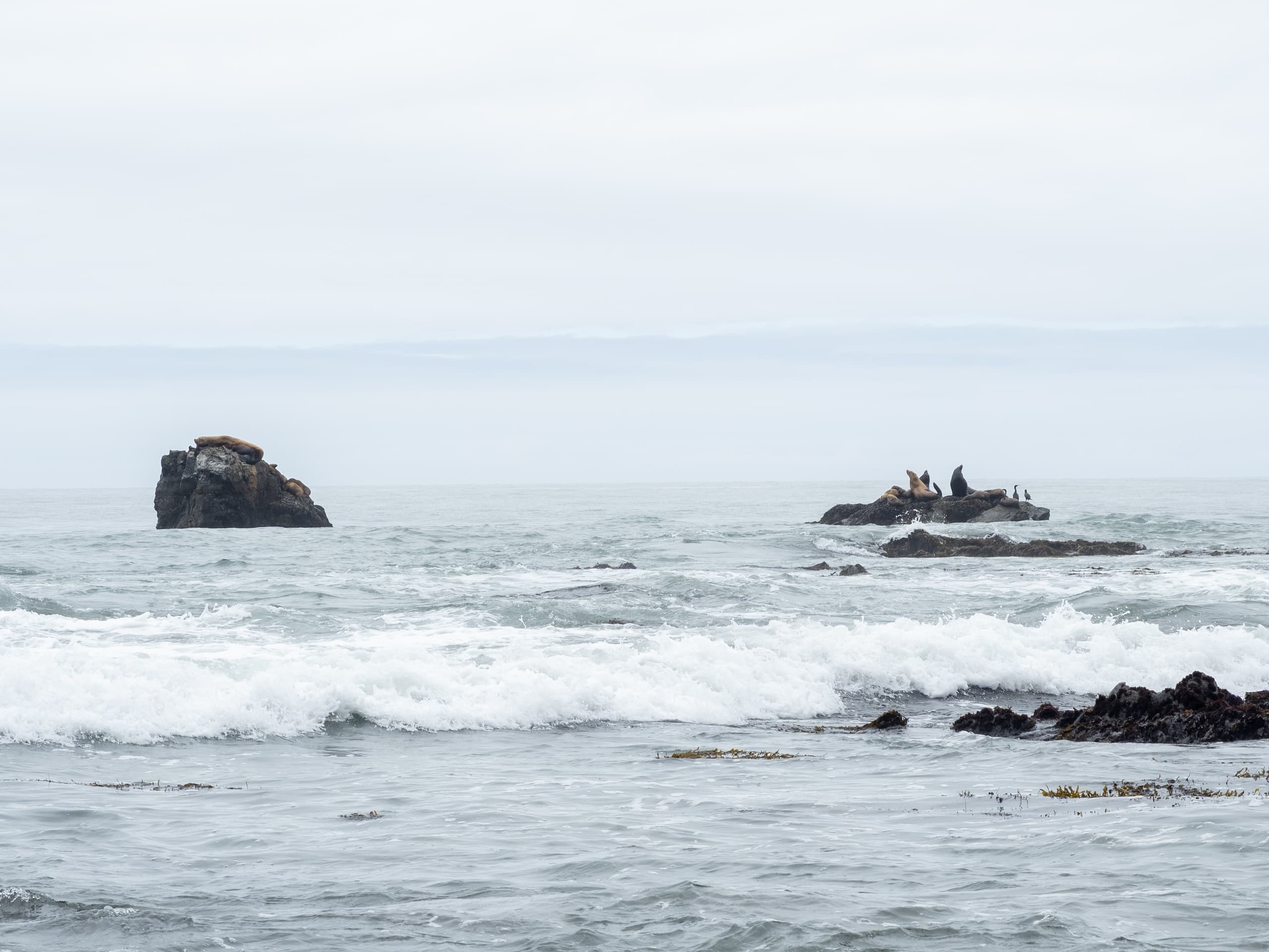Seals