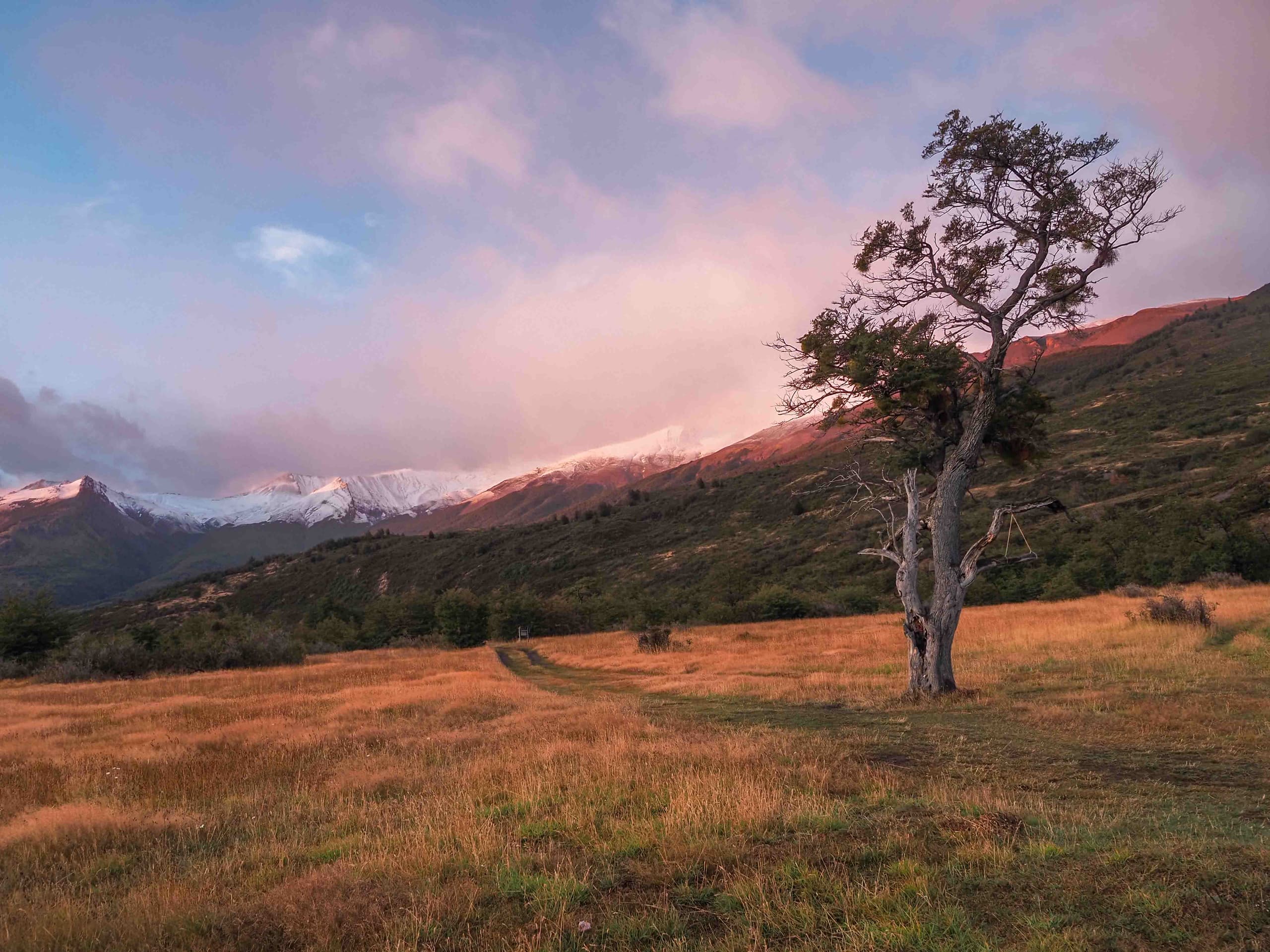 Patagonia
