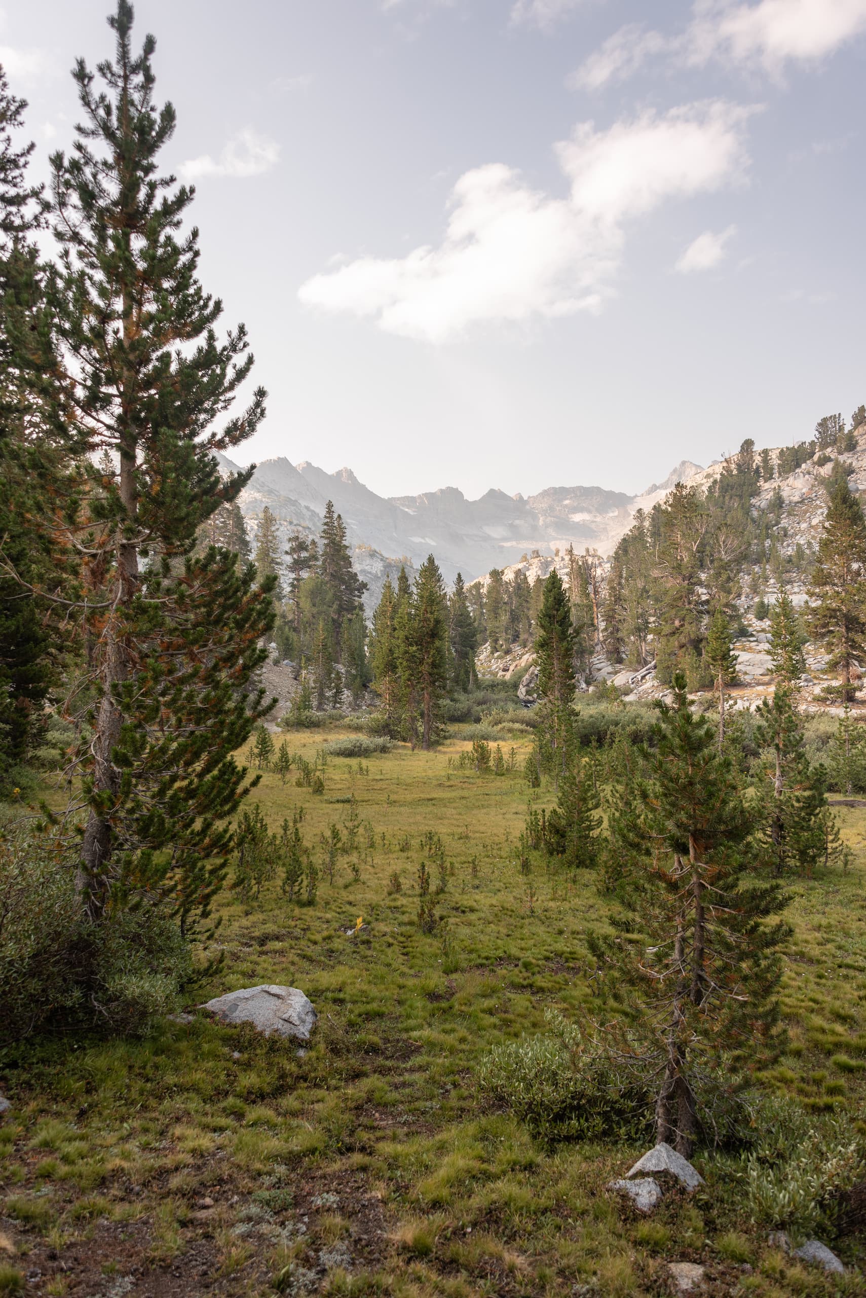Upper Lyell Canyon in western Yosemite