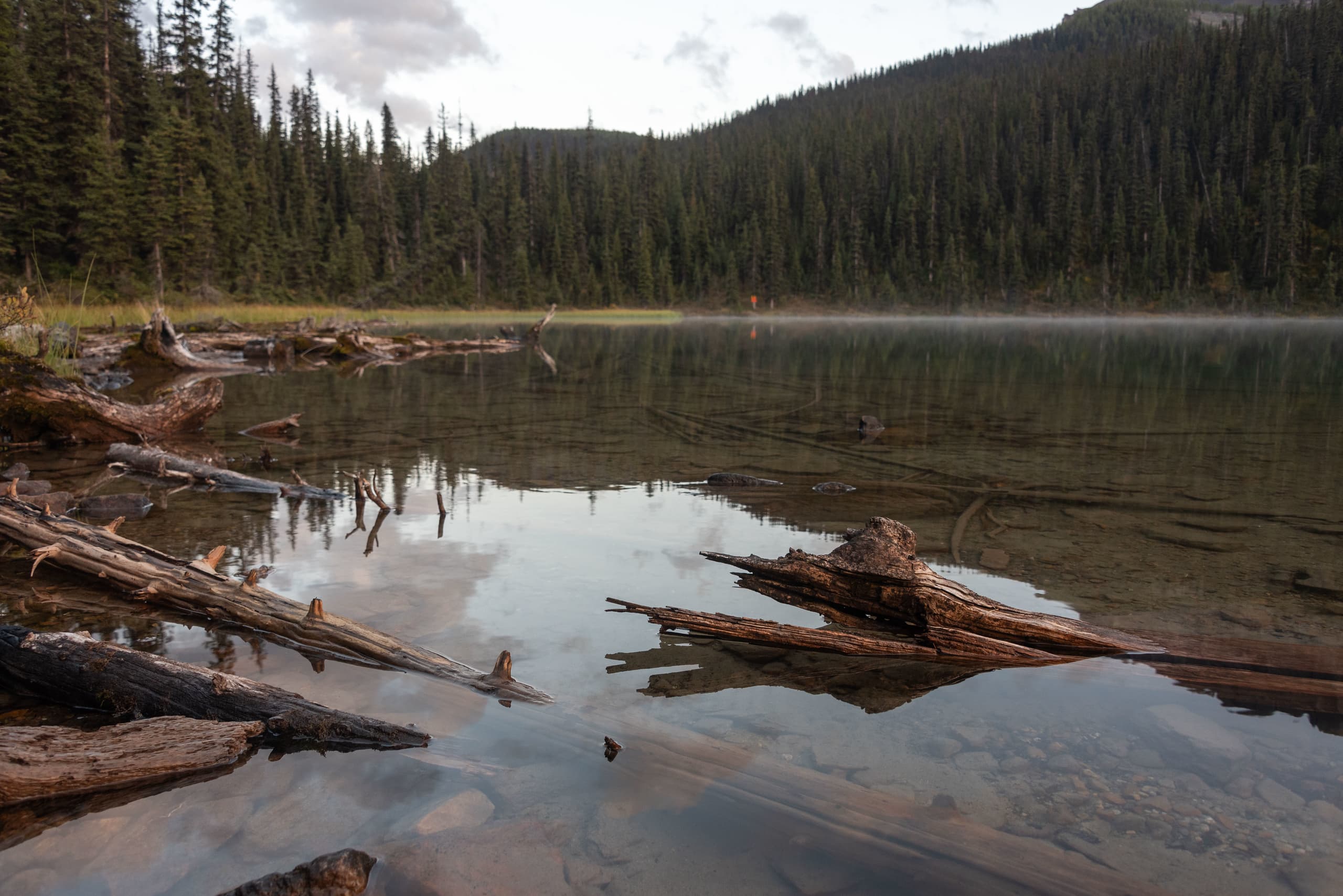 Evening on Luellen Lake